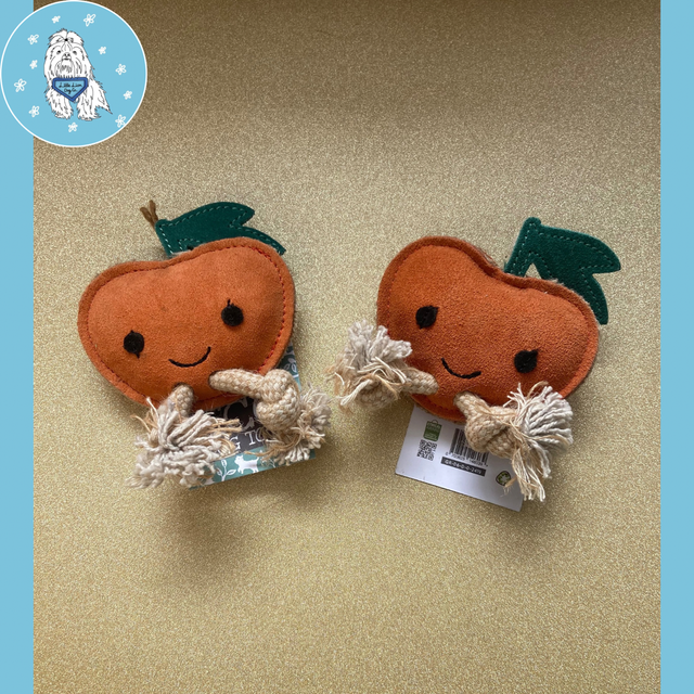 Green and Wilds Sancho the Satsuma Eco Dog Toy