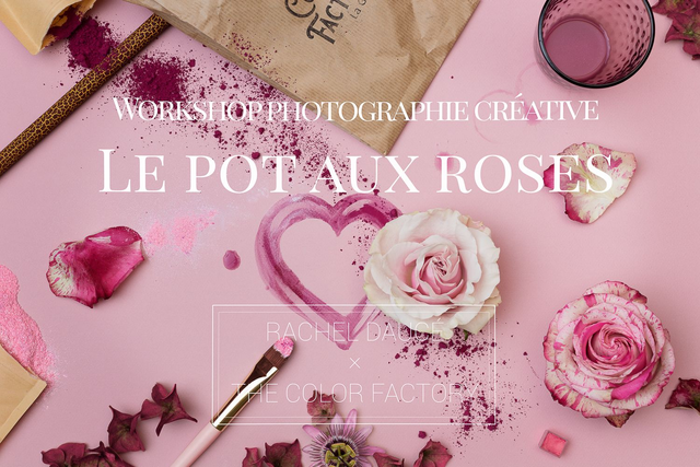 Rachel Dauce - Le pot aux roses