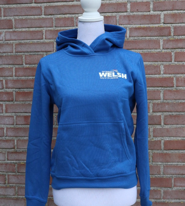 Hoody junior blauw