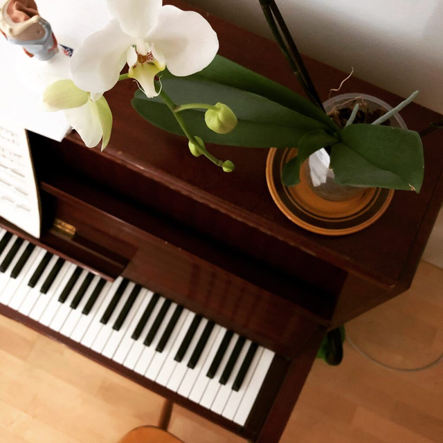 Laulutunti OULU 12.2. &amp; 14.2.2026, 60 min.