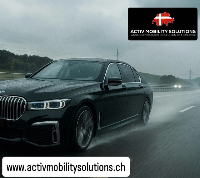 Zurich Airport- City First Class Transfer