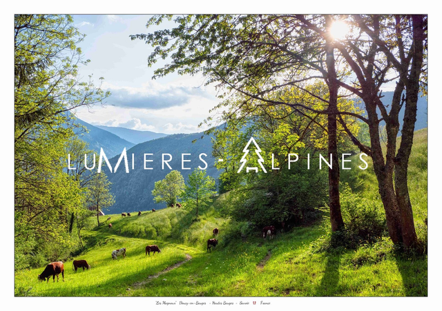 Alpages "Les Magnoux" (PNR Bauges) 59*42cm