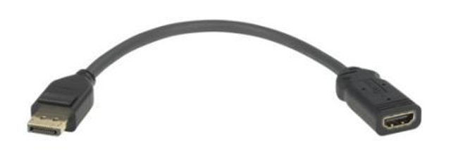 DisplayPort to HDMI Adapter