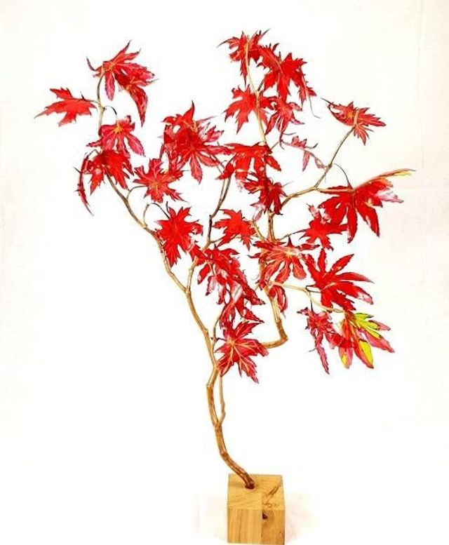 Naissance de Momijigari