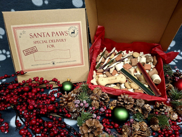 Christmas Treat Box - Biscuit &amp; Veg