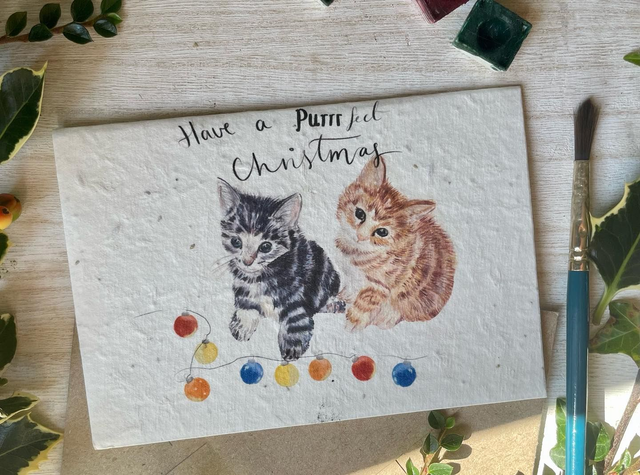 A6 Plantable Wildflower Seed Christmas Cards (Design Set 2)