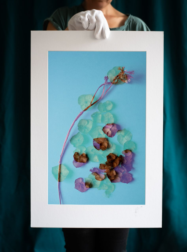 Fleurs éternelles - 9