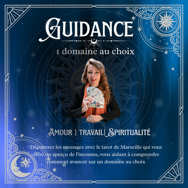 Guidance 1 domaine aux choix