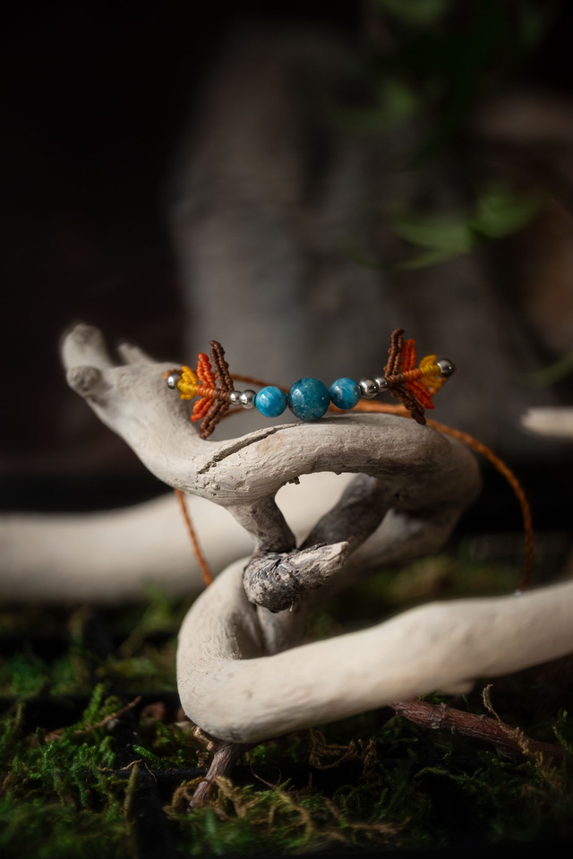 Thorn - Bracelets apatite 