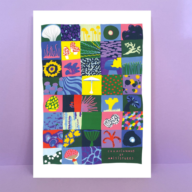 Champignons et moisissures