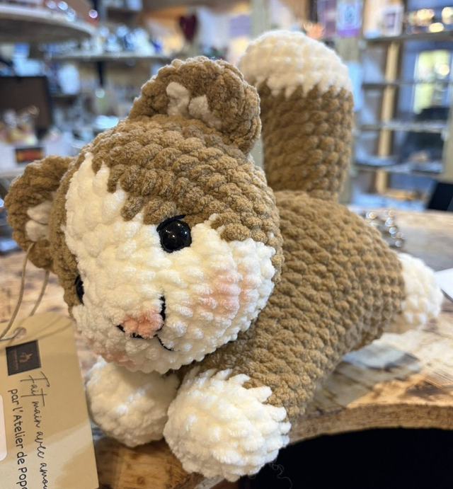 Chaton joueur – Version Velours &amp; Version Fluffy 🐱 