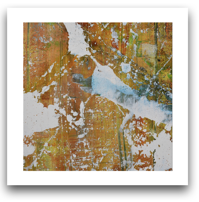 SOUNDS FROM INDIAN NATURE Ed2