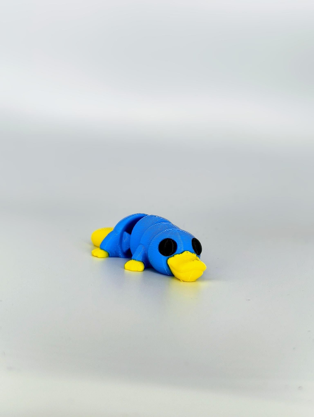 Pedro the Platypus Jnr