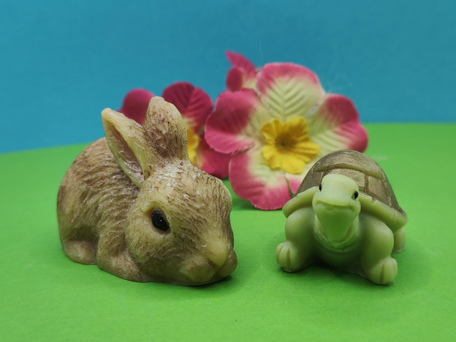 Le lièvre et la tortue 