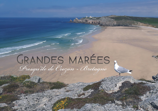 Grandes marées édition 1