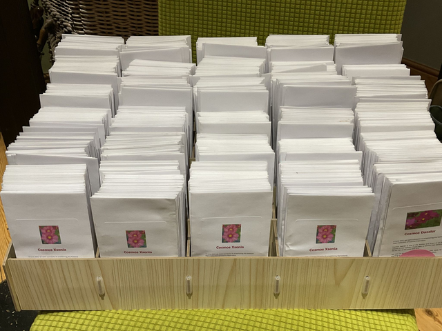 Short date 10 pack of cosmos - £50 value for £10