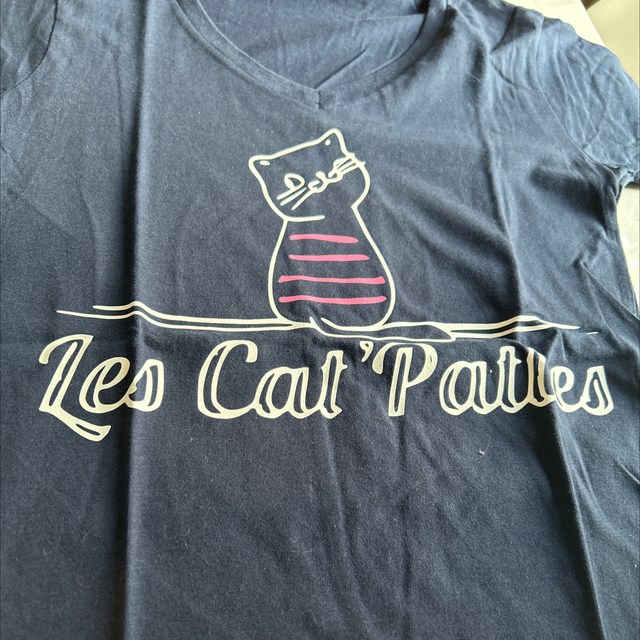 Teeshirt bleu navy  ou blanc logo col V 