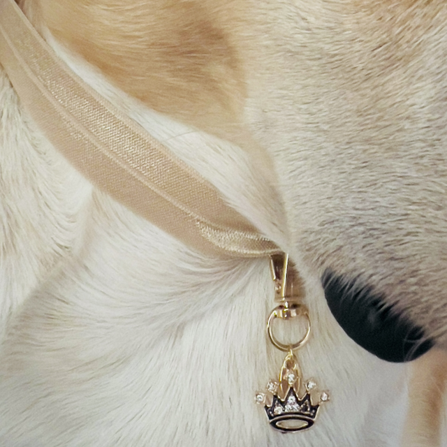 COLLIER DOG CHIC CHIC ( Taille M )