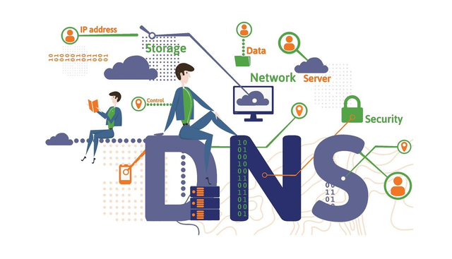 DNS Annuel