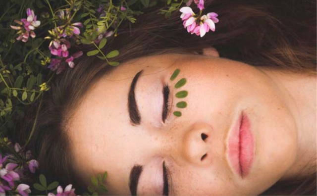 Soin Visage Botanique