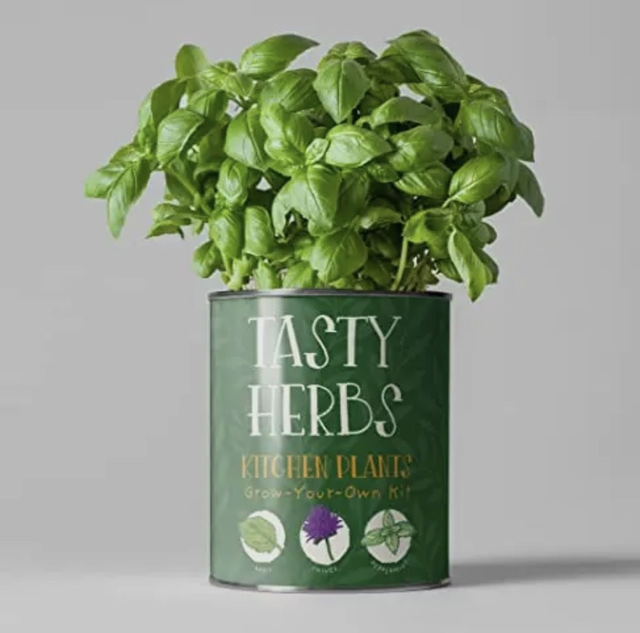 tasty herb kit