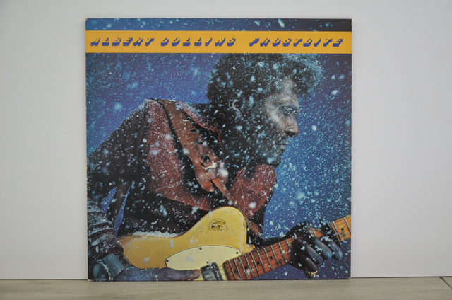 Collins, Albert - Frostbite (1980)