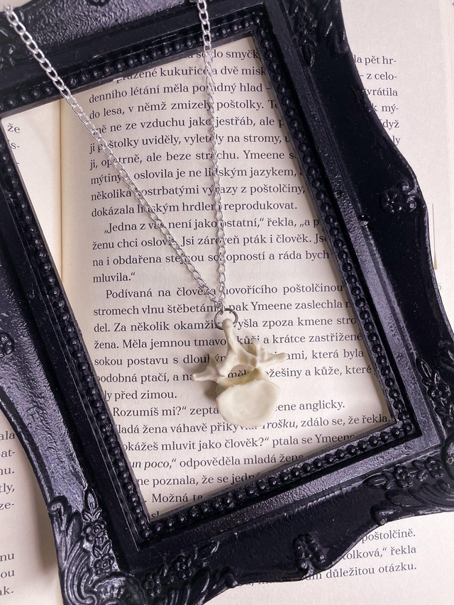 Náhrdelník vertebrae řetízek 2