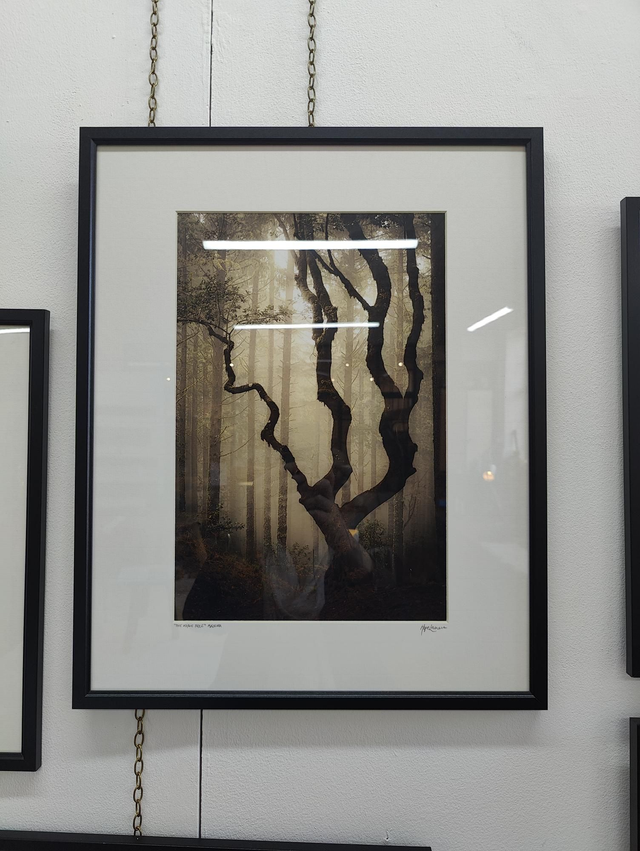 20x16 Print (framed) 