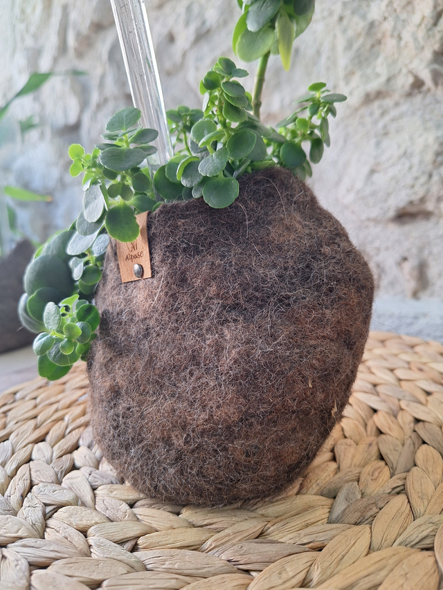 Pot fleuri - collection de trois