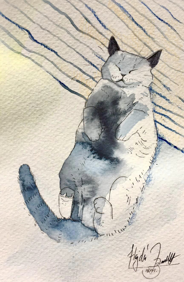 Képeslap, ágyban henyélő macska