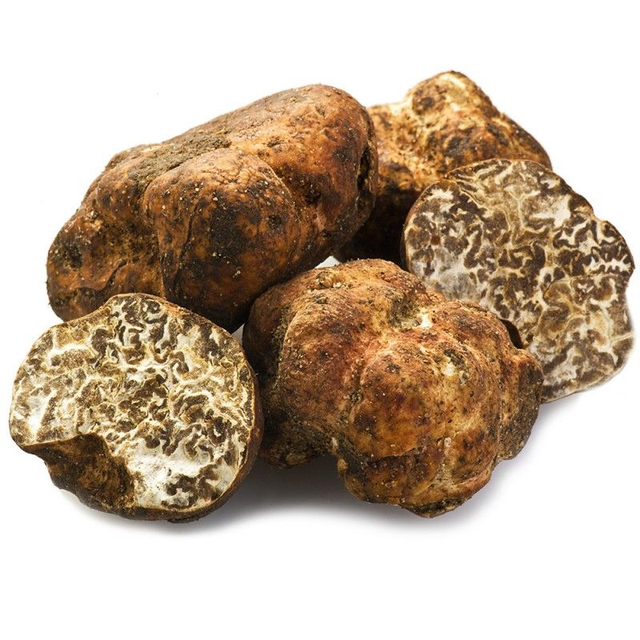 Tartufo Marzuolo o Bianchetto - Tuber Borchii Vitt. - 100 gr