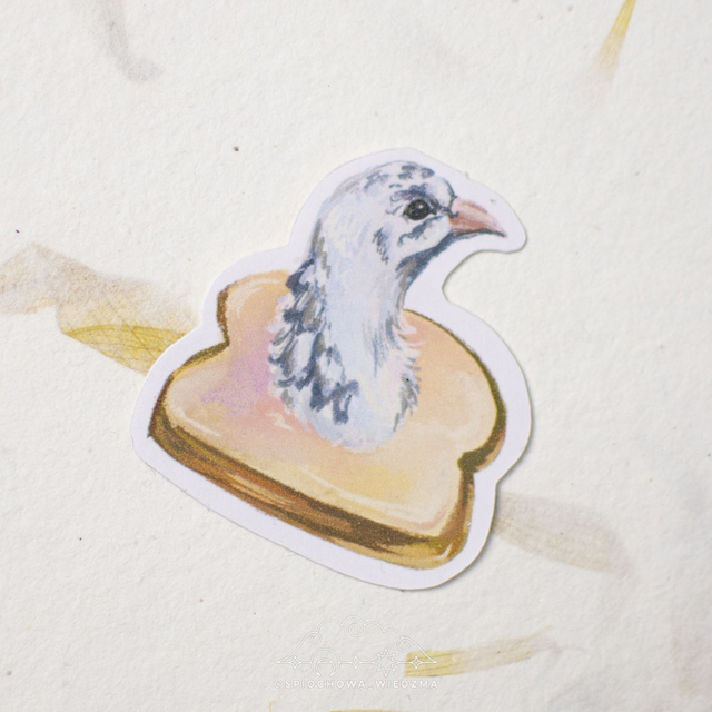 Gołąb w chlebie | ZWIERZĘTA