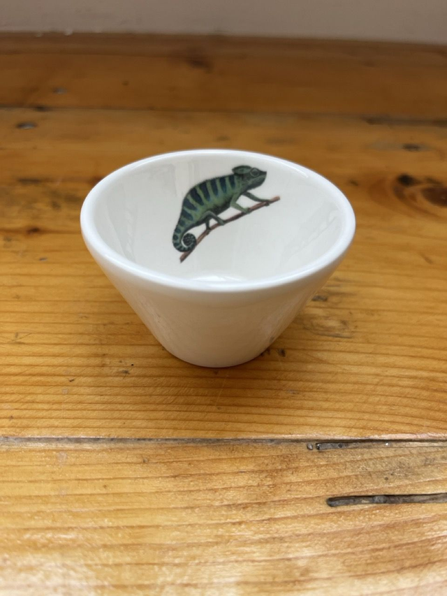 Schüssel Iris Chamäleon