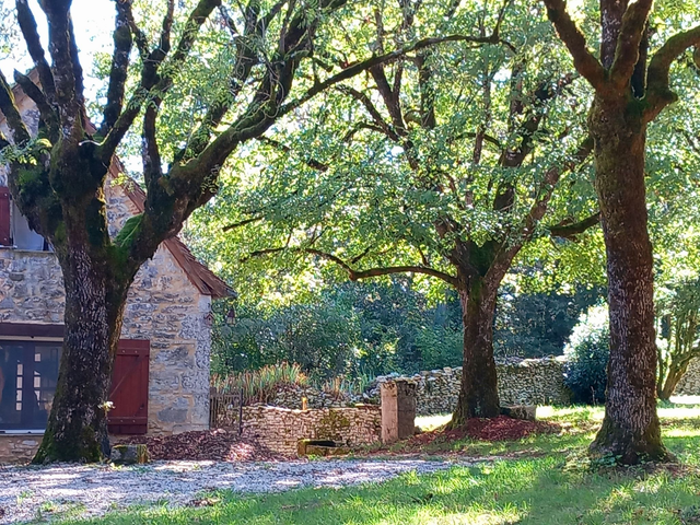 Week-end Coaching Immersion