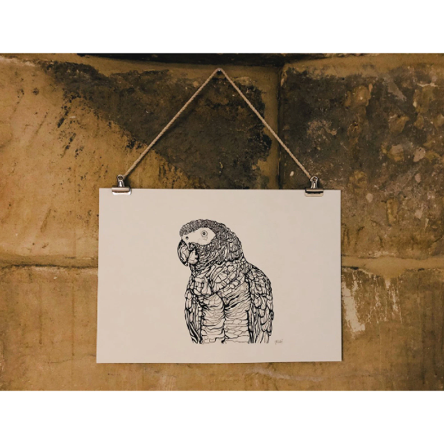 B&W A3 print - parrot