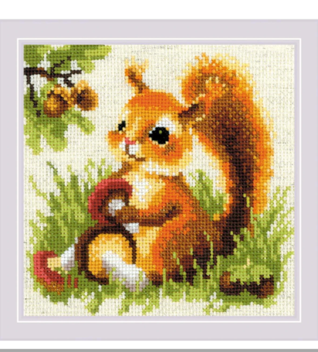 Eichhörnchen