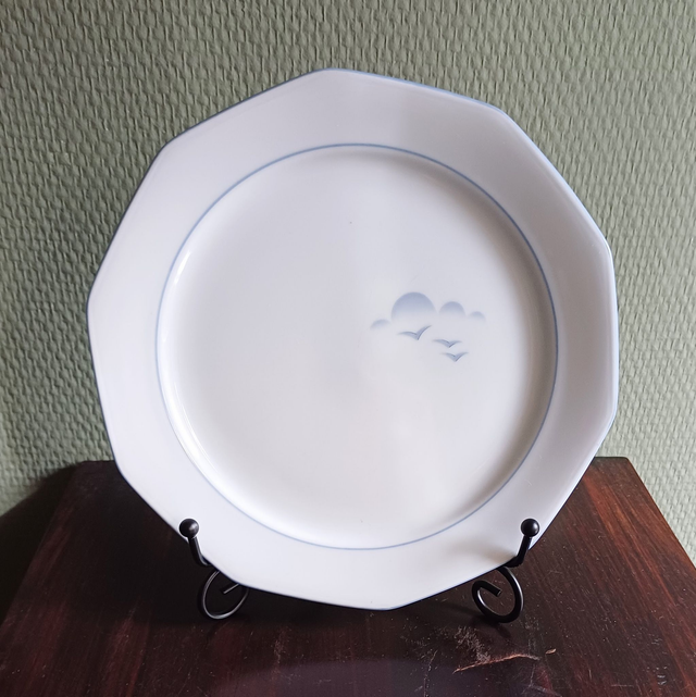 Winterling | Ontbijtbord Plat bord (afmetingen 19 x 2 cm) 10 kantige vorm Wit Blauwe bies en &#039;Wolk en Vogels&#039; decor| Vintage