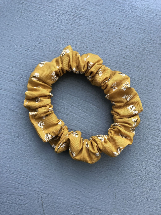 Petit chouchou Mimosa