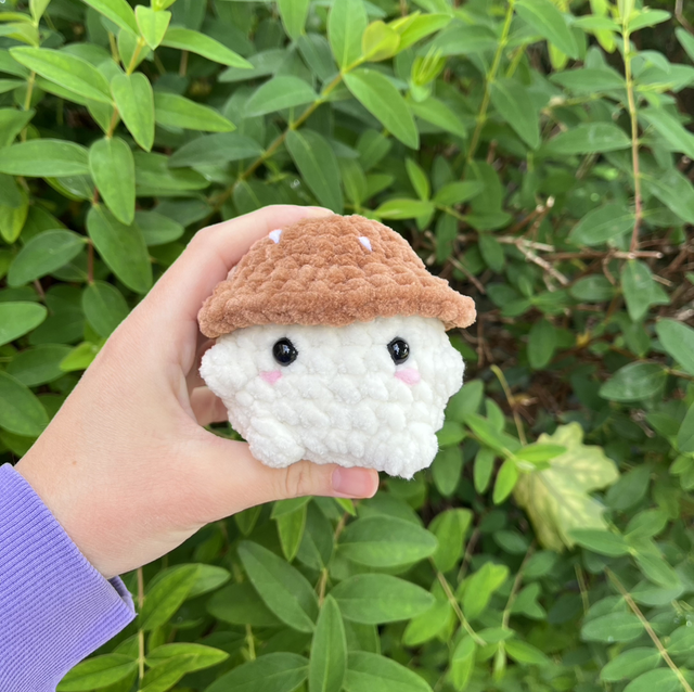 Champignon d’automne