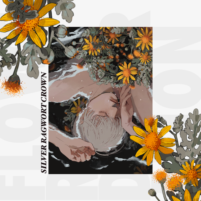 [OC] SILVER RAGWORT CROWN