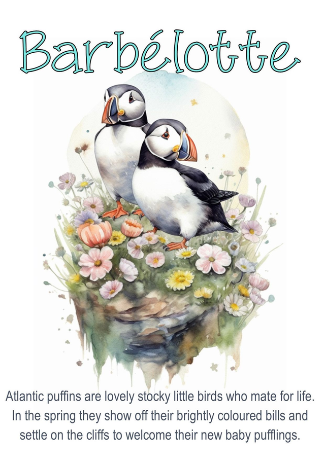 004 - NOTEPAD A6 - BARBELOTTE PUFFINS