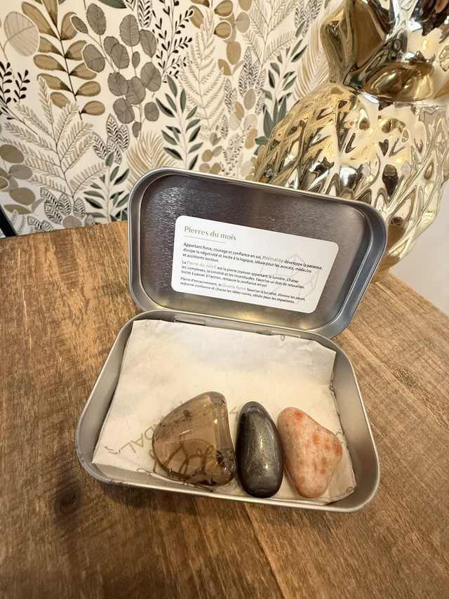 Box Astro Scorpion - Hématite, Pierre du soleil, Quartz fumé