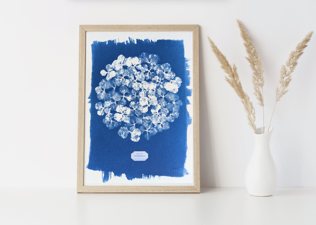 Cyanotype Hydrangea (A4) - n°385 - sans cadre