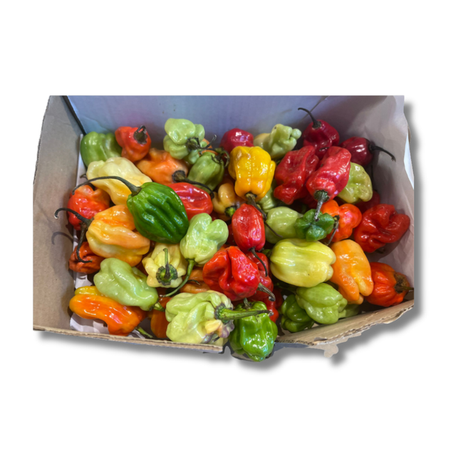 Fresh Ugandan Pepper mixed- full big box 3.5kg