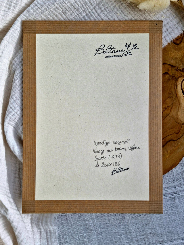 Cyanotype personnalisé - Coloris au choix