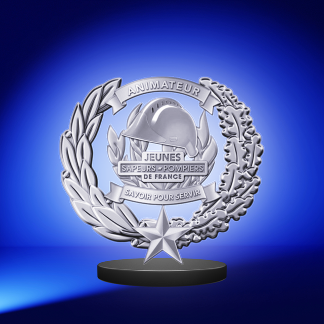 Insigne animateur JSP niveau 2