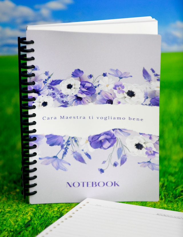 notebook MAESTRA