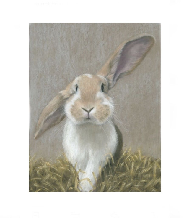 Print (large) 'DEX' (Konijnenparadijs)