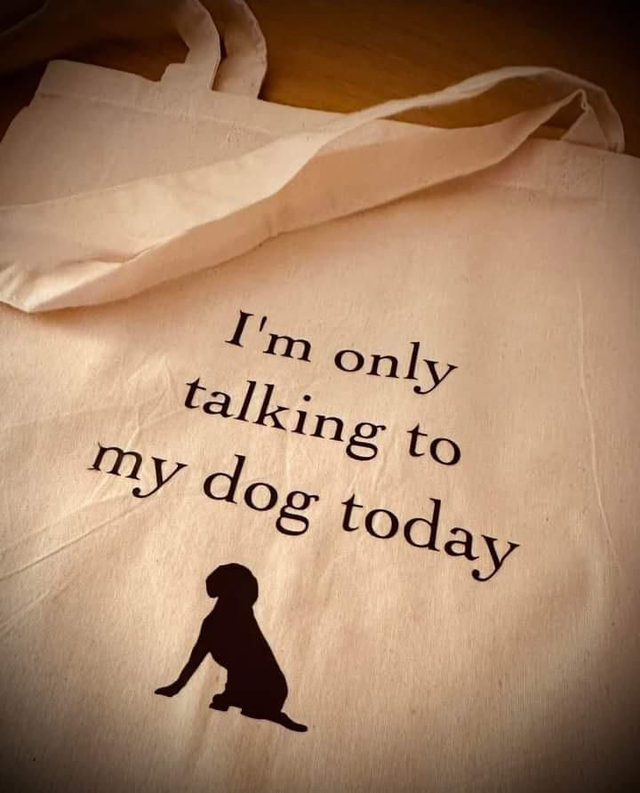 Large Shopping Tote Bag - I'm Only Talking To My Dog Today 