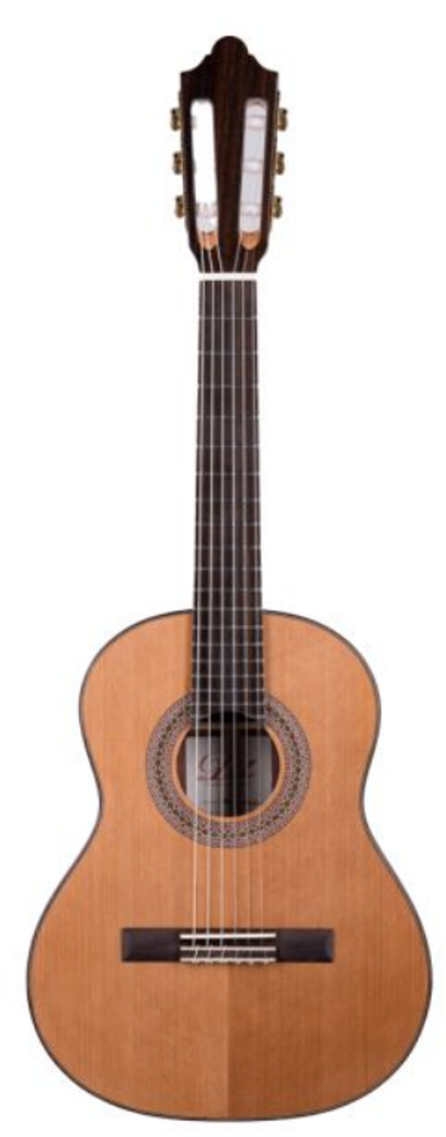 DUKE Basis C Bambino